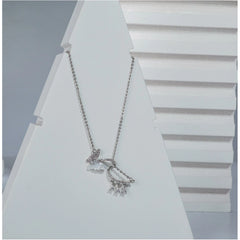 Women's Stainless Steel Imported Stanless Steel Pendent Chain (Silver Plated)