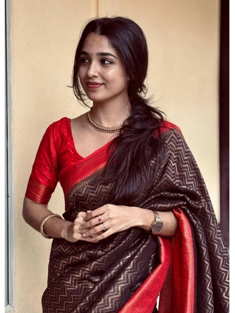 Women's Silk Printed Saree With Unstitched Blouse 5.5Mtr (Brown)