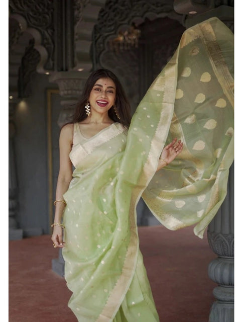Women's Cotton  Printed Saree With Unstitched Blouse 5.5Mtr (Pista)
