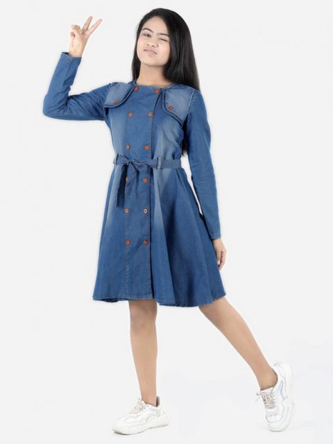 Generic Girl's Denim Solid Long Sleeve Round Neck Dress (Blue)