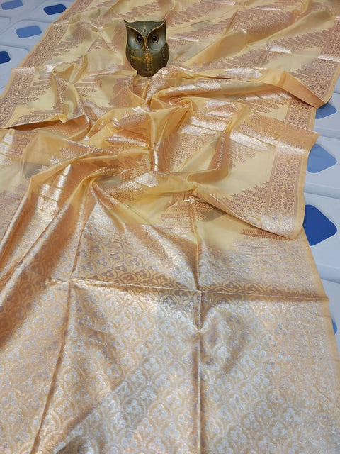 Exquisite Lightweight Transparent Organza Silk Saree with Minakari Work