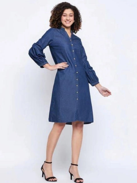 Generic Women's Casual Denim Full sleeve Dress (Blue)