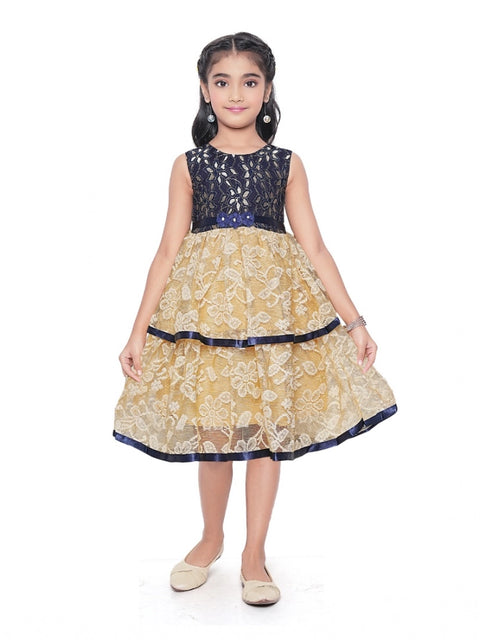 Generic Girl's Fancy Net Net Sleeve Less Round Neck Dress (Blue)
